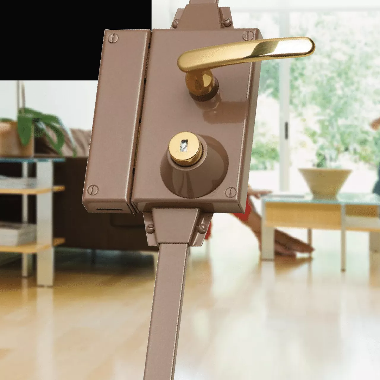 Serrure multipoints Point Fort Fichet